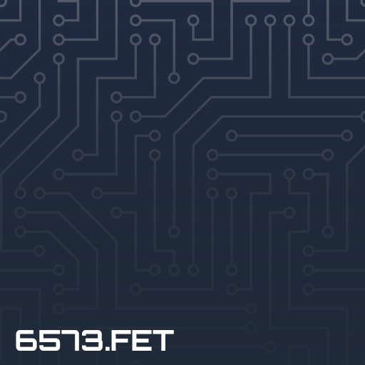 6573.fet image