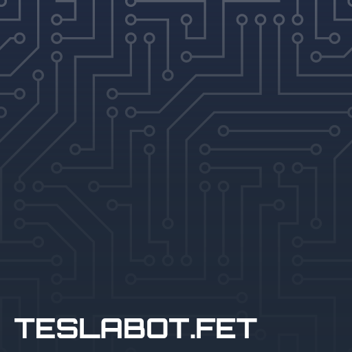 teslabot.fet image