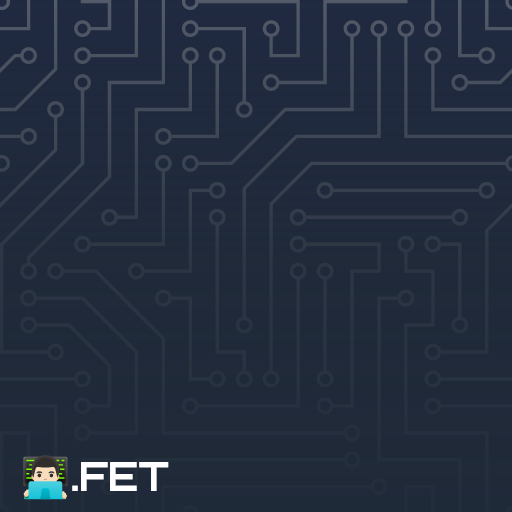 👨🏻‍💻.fet image
