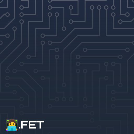 👩‍💻.fet image