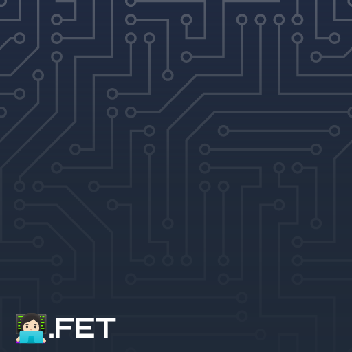 👩🏻‍💻.fet image