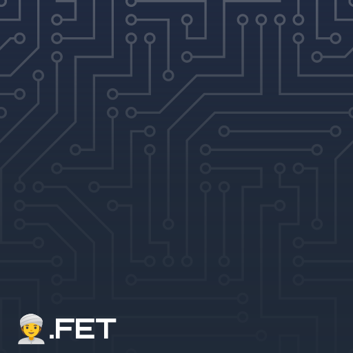 👳‍♀.fet image